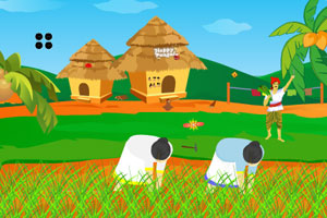 巴菲特加速捐赠，不再撰写年度致股东信