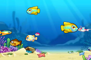 白宫顾问称美国政府停摆造成的影响远超预期