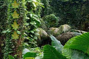 “人民咖啡馆”致歉